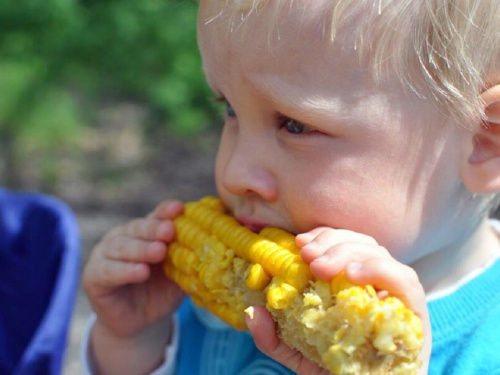 Як швидко зварити смачну кукурудзу: корисні поради
