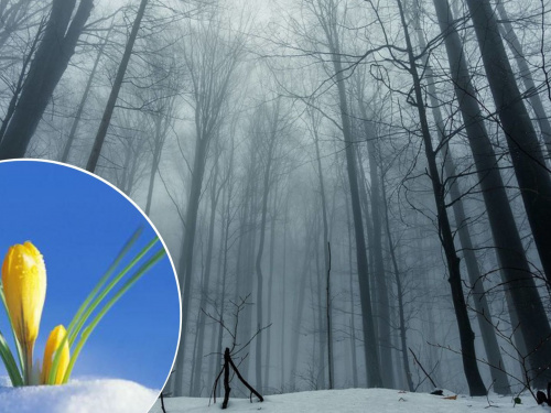 Від морозного піку до несподіваного тепла: детальний прогноз погоди в Кам’янському на кінець січня