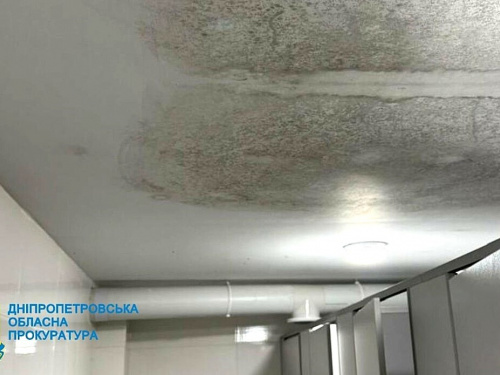 Замість безпечних сховищ - пліснява і корупція: посадовицю з Дніпропетровщини підозрюють у крадіжці мільйонів