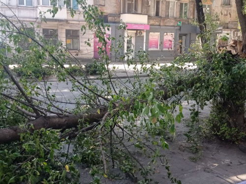 У Кам’янському районі вирує негода: дерева падають на авто, без світла залишилися декілька районів