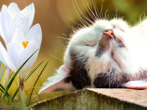 Остання неділя березня у Кам'янському: синоптики попередили про дощі та важливі зміни в часі