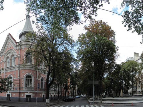 Стійкі міські дерева ростуть на вулицях індустріального Кам'янського.