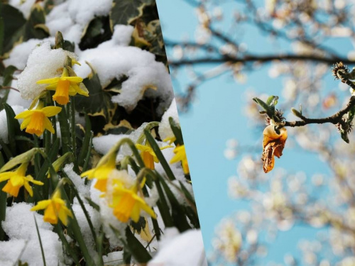 Березневі температурні гойдалки: якою буде погода у Кам’янському з 16 по 20 березня