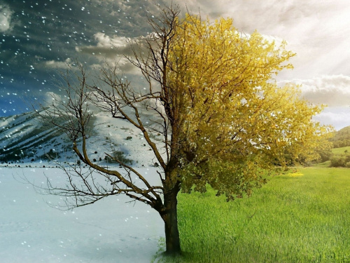 Як плавно перейти від зими до весни: 12 практичних кроків для тіла, дому та настрою