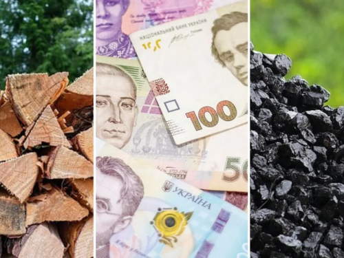 Зимова допомога: як кам’янчанам оформити субсидію на тверде паливо