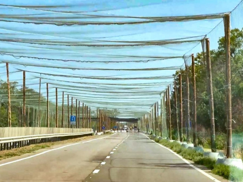 Дороги під захистом: прифронтова Дніпропетровщина отримає антидронові сітки від... рибалок 