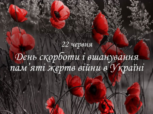 Сьогодні не можна висаджувати квіти та вбивати комарів - традиції та прикмети 22 червня