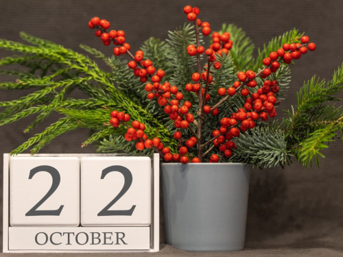 Сьогодні не можна починати генеральне прибирання: традиції та прикмети 22 жовтня