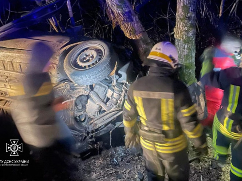 Смертельна ДТП під Кам’янським - водій легковика врізався у дерево