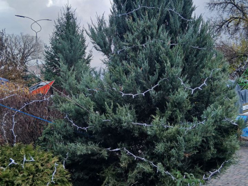 Кам'янське в очікуванні свята: які новорічні декорації та ілюмінацію вже встановили у Центральному парку