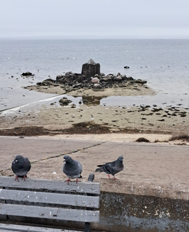 «Тут ми плавали, а тепер ходимо пішки»: мешканка Кам’янського зафіксувала критичне обміління Дніпра