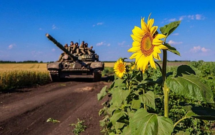 На Дніпропетровщині танковий полігон незаконно здавали в оренду фермерам під вирощування соняшника - подробиці
