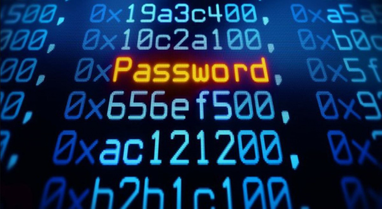 У мережу злили понад 16 млрд паролів від Apple, Google, Telegram та Facebook - у небезпеці майже всі користувачі