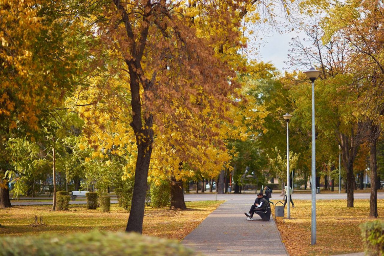 Погода у Кам’янському 1 та 2 листопада: буде тепло та без опадів