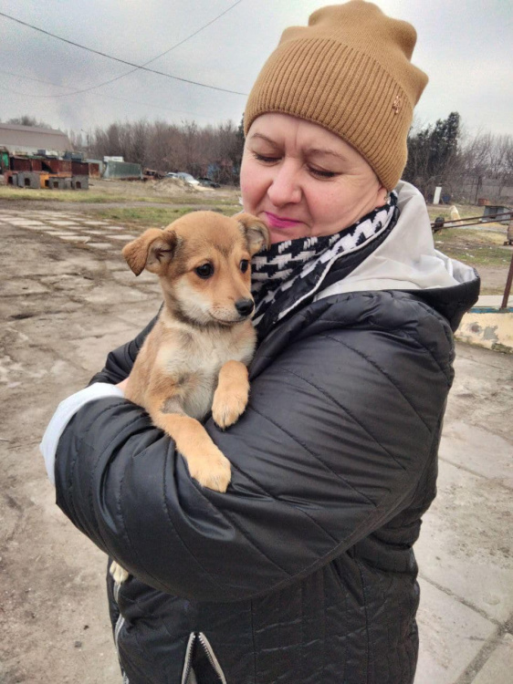 Кам'янчани подарували гарне життя безпритульним  тваринам - подробиці