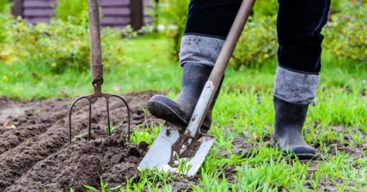 Помилки, що залишать без урожаю: що категорично не можна робити на городі у квітні дачникам Дніпропетровщини