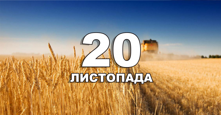 Сьогодні не рекомендується ходити до лісу: традиції та прикмети 20 листопада