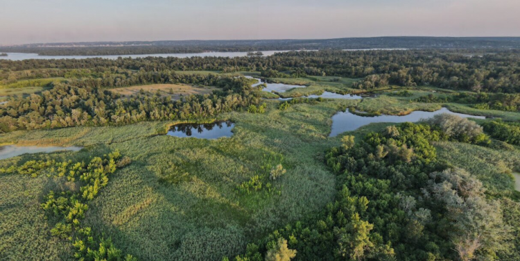 Дніпровсько-Орільський заповідник