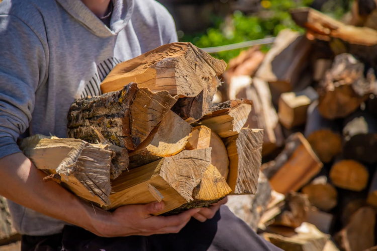 Дрова для мешканців Дніпропетровщини