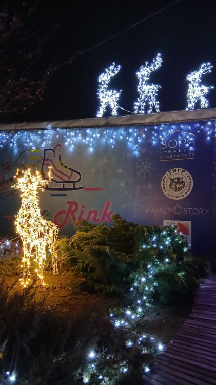 У Кам’янському світлові фігури оленів стали головною прикрасою ковзанки та парку