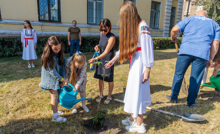 У Кам'янському в пам'ять про загиблих на війні земляків висадили калинову алею