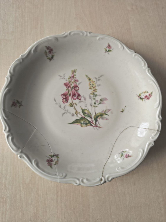 Баварська витонченість у Кам’янському: історія одного порцелянового експоната