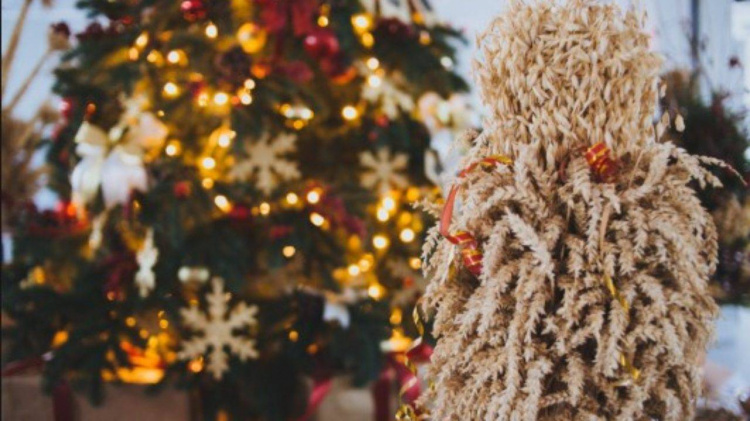 Замість ялинки - дідух: екологи нагадують про прадавні українські зимові традиції та закликають не нищити ліси