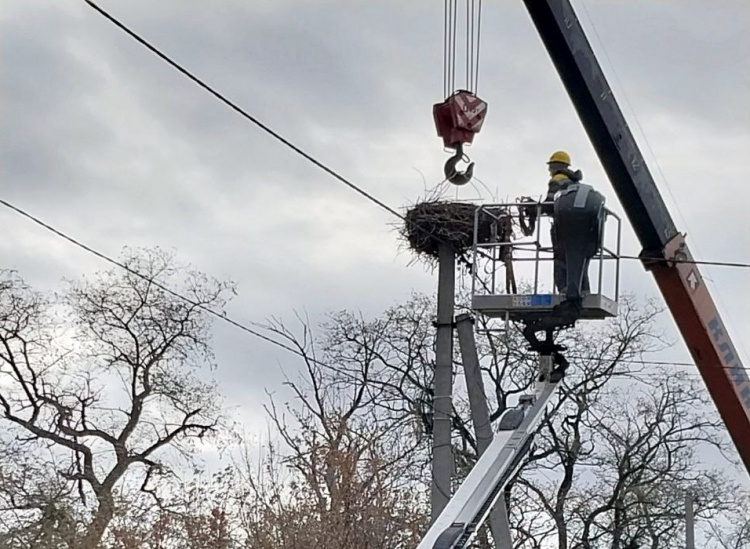 ФОТОФАКТ: в Кам'янському районі енергетики встановили платформу для гнізд лелек - подробиці