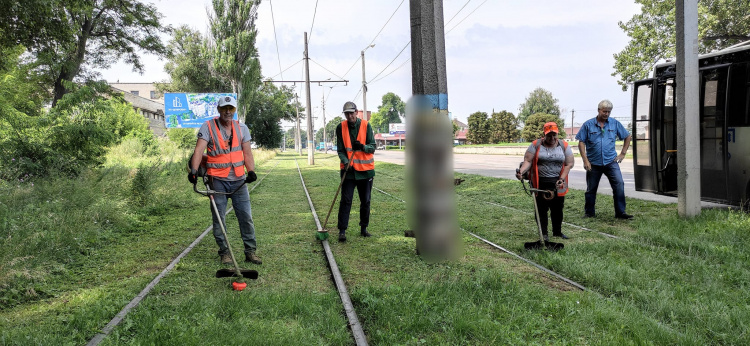 На трамвайних коліях Кам'янського боролися з травою: фотофакт