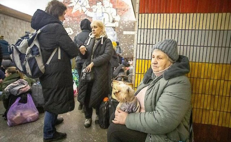 Що робити, якщо з твариною не пустили в укриття - відповідь юриста