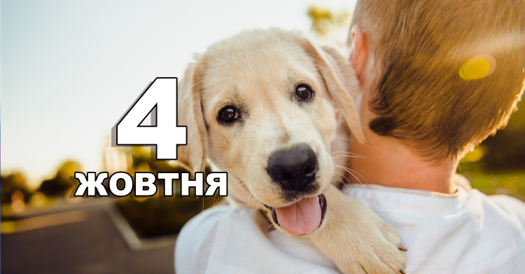 Сьогодні забороняється пускати до оселі незнайомих людей - традиції та прикмети 4 жовтня