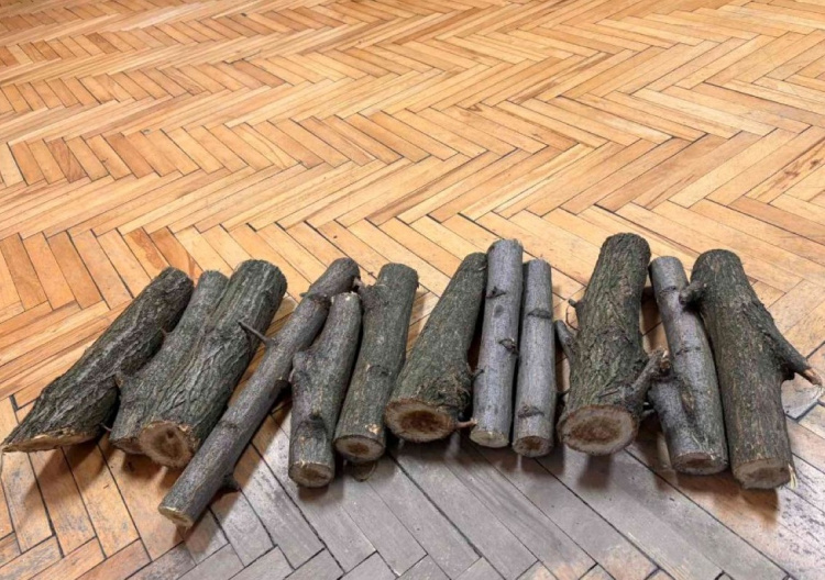 На Дніпропетровщині виконавча служба продає на аукціоні "арештовані" чурбаки акації - соцмережі вибухнули жартами