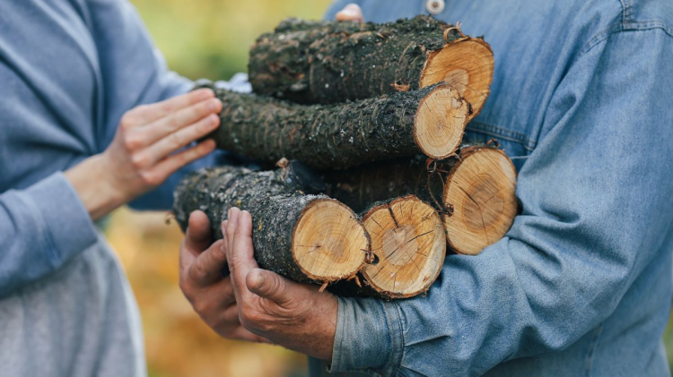 Дрова за пів ціни: де найвигідніше купувати паливо в розпал сезону 2025