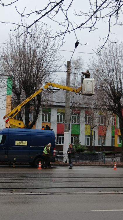 Кам'янське в очікуванні свята: на проспект Шевченка повертають оновлену ілюмінацію