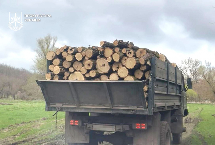 Знищували ліс пів року, збитки на 3 мільйони: у Кам’янському районі судитимуть «чорних лісорубів»