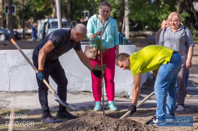 У Кам’янському оновлюють зелені зони у скверах та біля навчальних закладів - подробиці