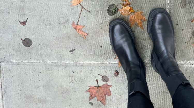 "Холодна гойдалка" та дощі: чого чекати кам'янчанам від погоди 24-28 листопада