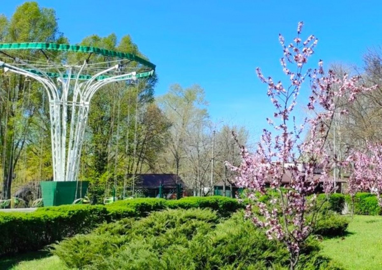 Україну накриє справжнє весняне тепло вже цими вихідними - погода у Дніпрі та Кам'янському 4-5 квітня