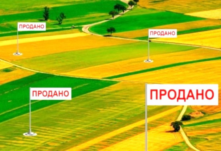 Гектари на мільйони: як фальшиві рішення суду ледве не залишили громаду Кам’янського району без землі