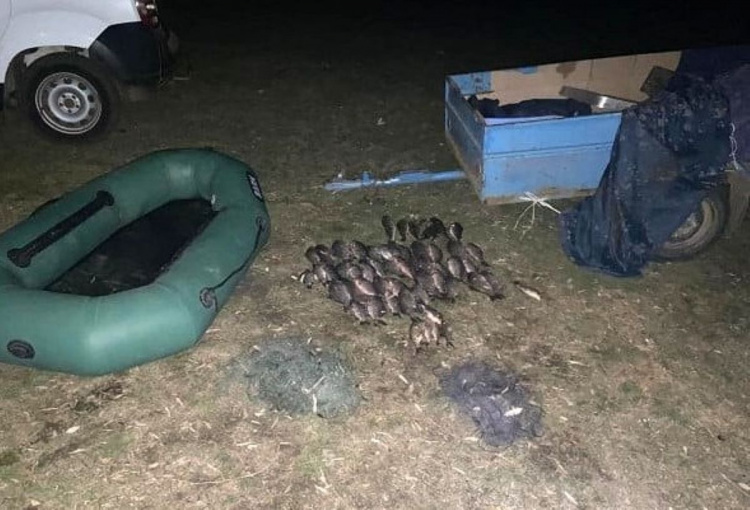 На Дніпропетровщині браконьєр "наловив" карасів на великий штраф та адмінпорушення - подробиці