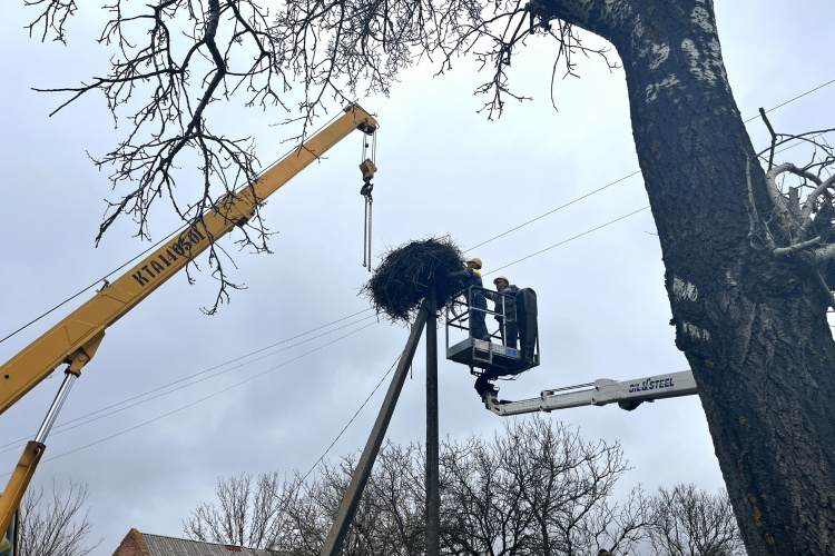 Безпека птахів і мереж: як на Дніпропетровщині енергетики ДТЕК допомагають лелекам