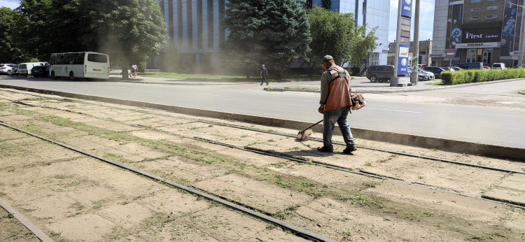 На трамвайних коліях Кам'янського боролися з травою: фотофакт