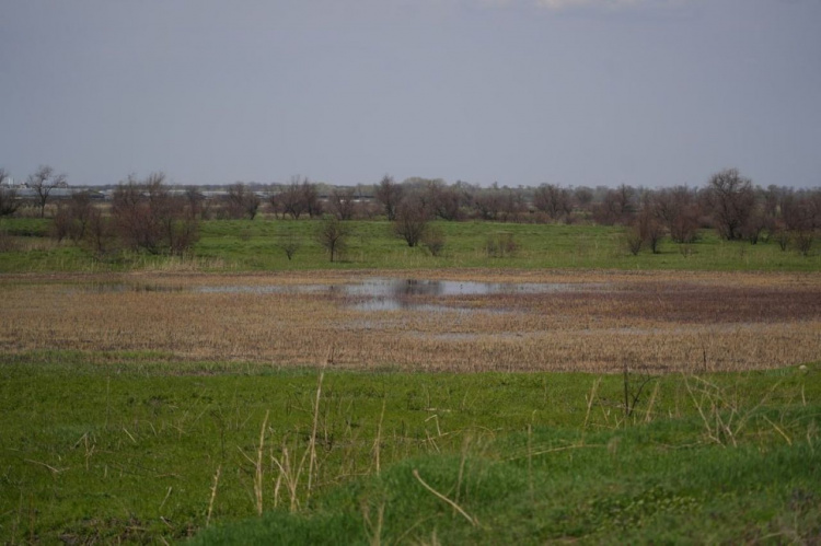 Чому водойми Дніпропетровщини зникають та чи є шанс їх урятувати