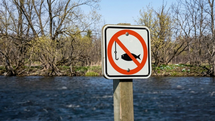 Нерестова заборона 2026 на Дніпропетровщині: де категорично не можна рибалити та які штрафи