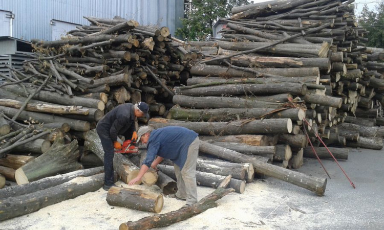 Мешканці Кам'янського можуть отримати безкоштовні дрова - подробиці