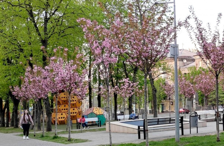 Весна-2026 здивує українців: синоптики попередили про погодні гойдалки