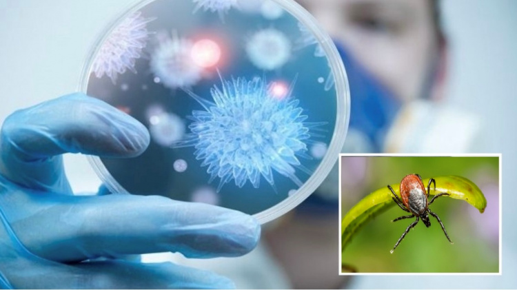 Епідемічна ситуація на Дніпропетровщині: на ГРВІ хворіють частіше, а сезон кліщів лише починається