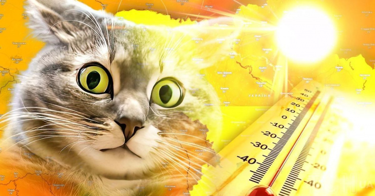 На Дніпропетровщину суне пекельна спека до +40°C: як врятувати організм від перегріву