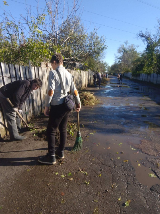 Спільними зусиллями до чистоти: мешканці Кам'янського активно взялися за впорядкування міста