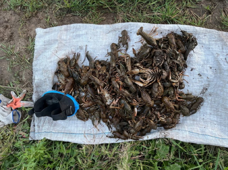 У Кам'янському водний патруль виявив браконьєра, який наловив раків майже на пів мільйона гривень